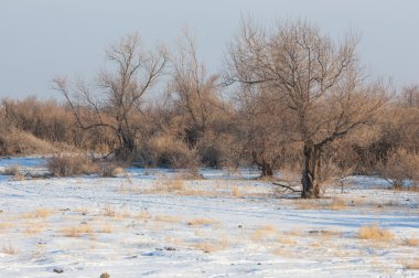 Kış, nehir veya Kazakistan bozkır. Kapchagai Bakanas