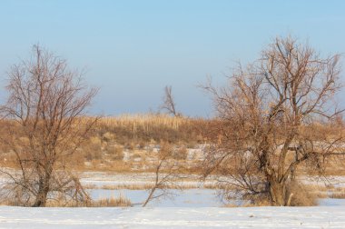Kış, nehir veya Kazakistan bozkır. Kapchagai Bakanas