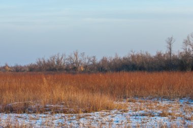 Kış, nehir veya Kazakistan bozkır. Kapchagai Bakanas