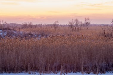 Kışın nehir Ili Kazakistan günbatımı çölde. Kapchagai Bakanas