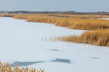 Donmuş gölde, bozkır sazlık. Nehrin Ili Kazakistan. Kapchagai Bakanas