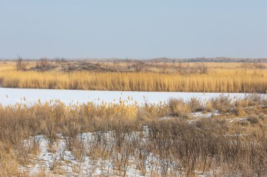 Donmuş gölde, bozkır sazlık. nehir veya Kazakistan. Kap