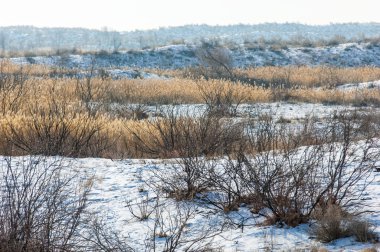 bozkırlarında kış. Kazakistan, Almaty bölge, Bakanas,
