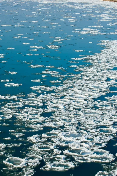 Första Frosten Bildandet Floden Ili Kazakstan Kapchagai Bakanas — Stockfoto