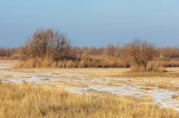 Stäppen Vintern Floden Eller Kazakstan Kapchagai Bakanas — Stockfoto