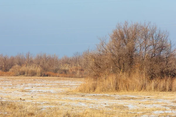 Estepa Invierno Río Kazajstán Kapchagai Bakanas — Foto de Stock