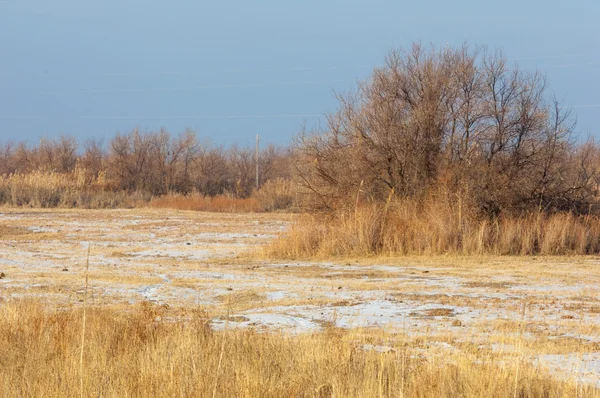 Die Steppe Winter Den Fluss Oder Kasachstan Kapchagai Bakanas — Stockfoto