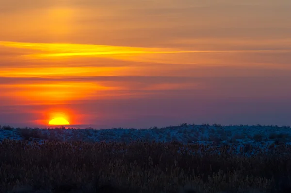 Tramonto Nel Deserto Inverno Fiume Ili Kazakistan Kapchagai Bakanas — Foto Stock