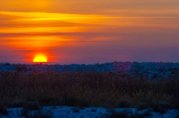 Pôr Sol Deserto Inverno Rio Ili Cazaquistão Kapchagai Bakanas — Fotografia de Stock