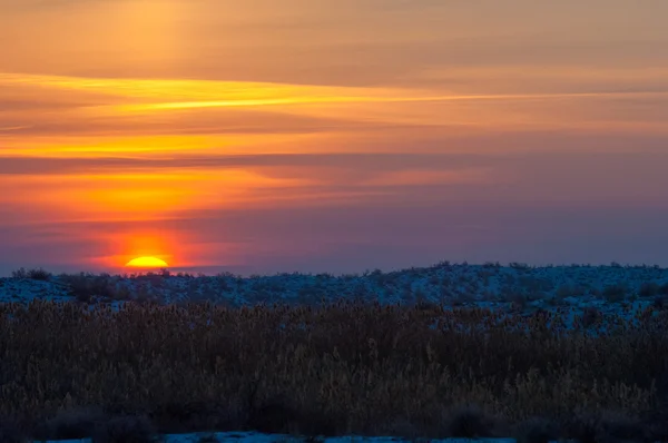 Pôr Sol Deserto Inverno Rio Ili Cazaquistão Kapchagai Bakanas — Fotografia de Stock