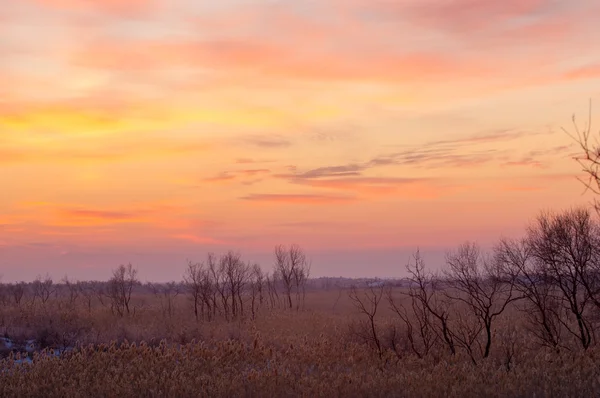 Tramonto Nel Deserto Inverno Fiume Ili Kazakistan Kapchagai Bakanas — Foto Stock