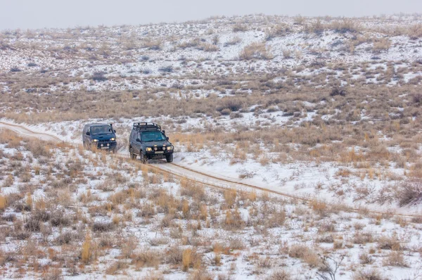 2014 Kazajstán Región Almaty Bakanas Estepas Viajes Invierno Coche — Foto de Stock