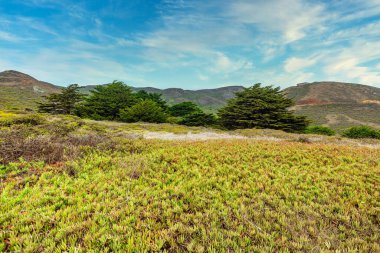 San Francisco Körfezi 'nin kuzeyindeki tepelerin panoramik manzarası, mavi gökyüzü, açık güneşli hava.