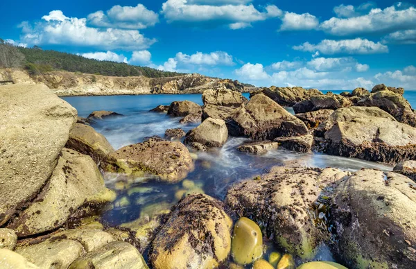 Kaliforniya 'daki Salt Point Eyalet Parkı' nda güzel manzara, kayalar ve okyanus manzarası..