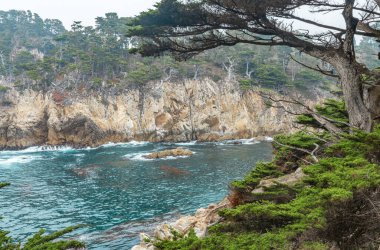 Güzel manzara, selvi ağaçlı uçurumlar Kaliforniya 'nın merkez sahilindeki Point Lobos Eyalet Parkı' ndaki okyanus kıyıları..