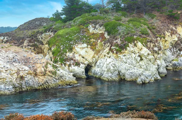 Vackert landskap, utsikt över klippiga Stilla havskusten vid Point Lobos State Reserve i Carmel, Kalifornien. — Stockfoto