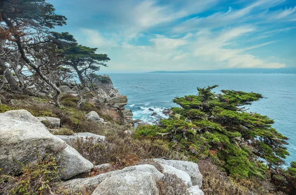 Árvores de cipreste em uma localização à beira-mar rochosa em Point Lobos State Park, na costa central da Califórnia. — Fotografia de Stock