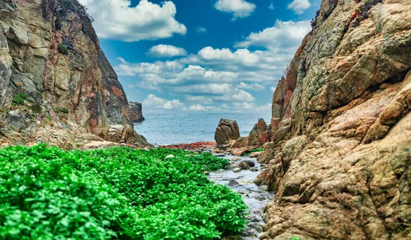 Wunderschöne Landschaft, Strand und Bucht, Garrapata State Park, Big Sur, Kalifornien, USA — Stockfoto