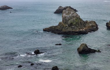 Kuzey Kaliforniya 'daki Pasifik Otoyolu boyunca güzel manzara, kayalar ve okyanus manzarası.