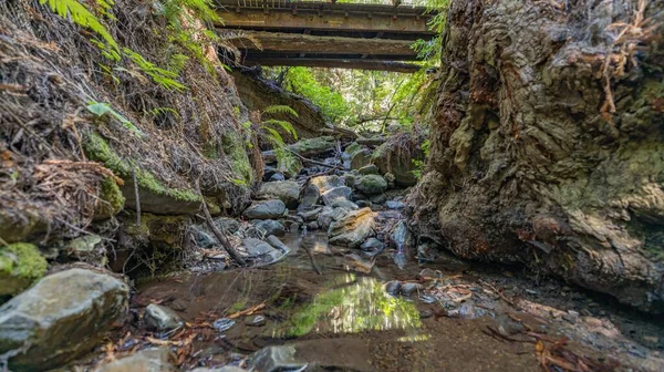 美しい風景、反射のある山の川のベッド、カリフォルニアの森の木々の木陰の澄んだ水の流れ — ストック写真