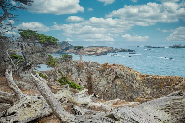 Zypressenbaum auf einem felsigen Punkt vom Cypress Grove Trail im Point Lobos State Park an der Zentralküste Kaliforniens aus gesehen. — Stockfoto