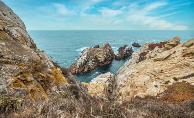 Güzel manzara, kayalık Pasifik Okyanusu kıyısı Point Lobos Eyalet Rezervi, Carmel, California.