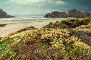 Big Sur 'daki Pfeiffer Sahili inanılmaz derecede pitoresk bir plajdır, Pasifik kıyısında güzel bir manzara, kayalar, kum, okyanus ve gökyüzü. Konsept, tatil, kartpostallar için fotoğraf, turist ve seyahat rehberi.