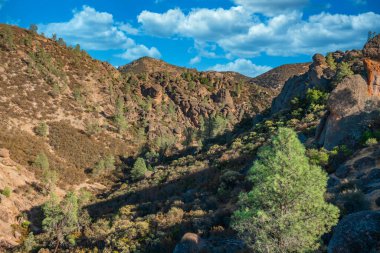 Kaliforniya Pinnacles Ulusal Parkı 'ndaki kaya oluşumları, San Andreas Fayı' ndaki sönmüş bir volkanın kalıntıları. Güzel manzaralar, turistler ve gezginler için rahat yürüyüş yolları..
