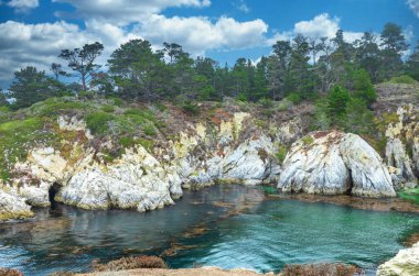 Güzel manzara, kayalık Pasifik Okyanusu kıyısı Point Lobos Eyalet Rezervi, Carmel, California.