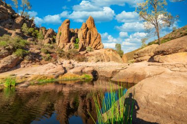 Kaliforniya Pinnacles Ulusal Parkı 'ndaki Bear Gulch Gölü ve kaya oluşumları, San Andreas Fayı' ndaki sönmüş bir volkanın kalıntıları. Güzel manzaralar, turistler için rahat yürüyüş yolları.