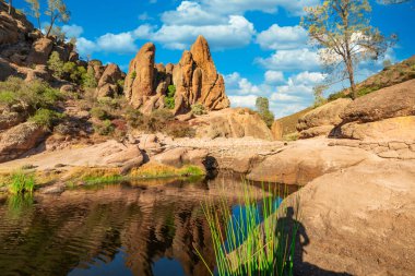 Lake Bear Gulch and rock formations in Pinnacles National Park in California, the ruined remains of an extinct volcano on the San Andreas Fault. Beautiful landscapes, cozy hiking trails for tourists clipart