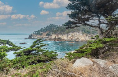 Güzel manzara, selvi ağaçlı uçurumlar Kaliforniya 'nın merkez sahilindeki Point Lobos Eyalet Parkı' ndaki okyanus kıyıları..