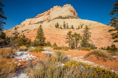 Güzel manzaralar, Zion Ulusal Parkı, Utah, ABD 'deki inanılmaz resimli kaya ve dağların manzarası.
