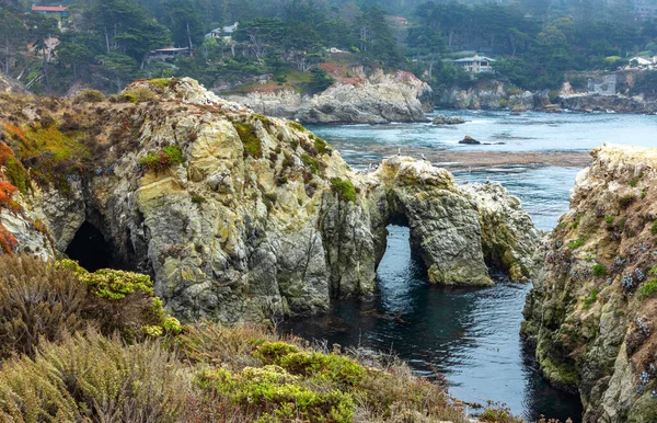 Kaliforniya, Carmel 'deki Point Lobos State Reserve' deki Pasifik kıyılarına bakan güzel bir manzara..