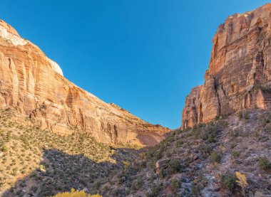 Güzel manzaralar, inanılmaz manzaralı kayalar ve ABD 'nin Utah eyaletindeki Zion Ulusal Parkı' ndaki dağlar.
