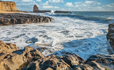 Pasifik kıyılarının güzel manzarası, kayalar, okyanus, dalgalar, Santa Cruz ve Davenport Kaliforniya 'nın en güzel plajlarından bazılarına sahiptir..