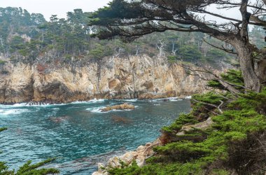 Güzel manzara, selvi ağaçlı uçurumlar, okyanus kıyıları, Kaliforniya 'nın merkez kıyısındaki Point Lobos Eyalet Parkı..