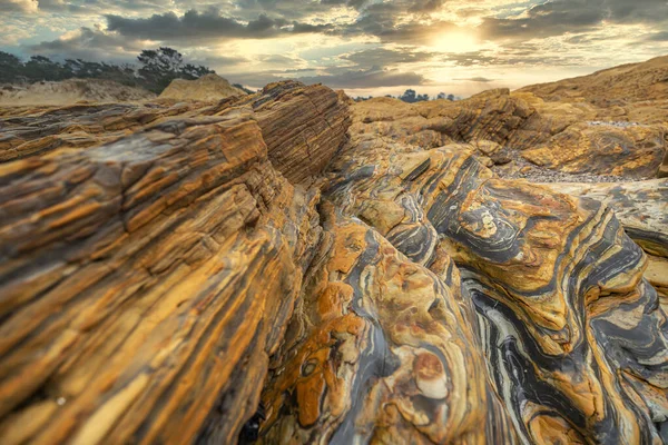 Uma Bela Paisagem Formações Rochosas Bizarras Costa Pacífico Reserva Estadual — Fotografia de Stock