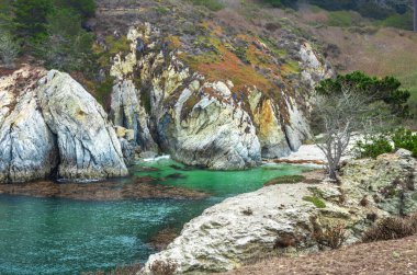 Güzel manzara, kayalık Pasifik Okyanusu kıyısı, Carmel, Kaliforniya 'daki Point Lobos Eyalet Rezervi.
