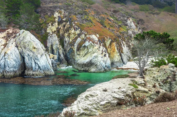 Güzel manzara, kayalık Pasifik Okyanusu kıyısı, Carmel, Kaliforniya 'daki Point Lobos Eyalet Rezervi.