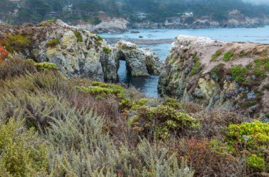 Güzel manzara, kayalık Pasifik Okyanusu kıyısı, Carmel, Kaliforniya 'daki Point Lobos Eyalet Rezervi.