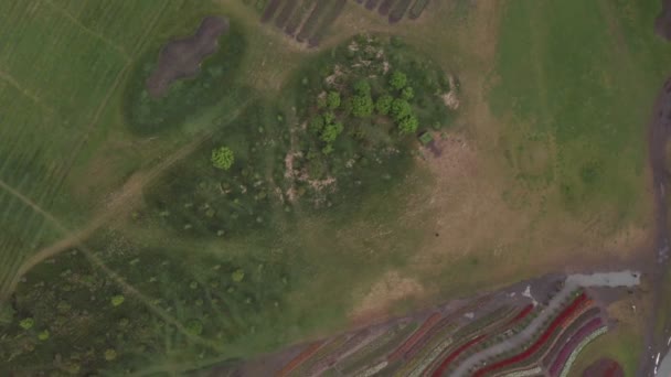 Paisaje en un hermoso parque floreciente de flores, día de verano, vista aérea desde un dron — Vídeo de stock