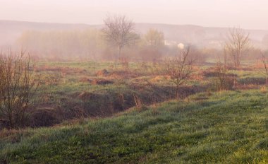 Yeşil çimlerin, patikaların ve ağaçların olduğu bir tarlada gün batımı ya da gün doğumu. Yaz başında ya da ilkbaharda. Hafif sisli yağmur üstüne manzara.