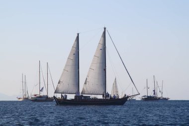 Bodrum, Türkiye, 18 Ekim 2016: Bodrum Yelkenli Kupası, Gulet Tahta Yelkenli ve yelkenli yarışı.