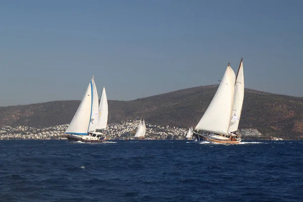 Bodrum Turquia Outubro 2016 Bodrum Sailing Cup Gulet Wooden Sailboats — Fotografia de Stock