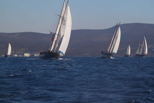 Bodrum Turkije Oktober 2016 Bodrum Sailing Cup Gulet Houten Zeilboten — Stockfoto