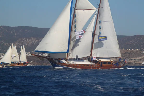2016年10月18日 土耳其Bodrum Bodrum帆船杯 Gulet Wooden帆船和帆船比赛 — 图库照片