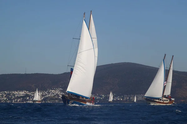 Bodrum Turquía Octubre 2016 Bodrum Sailing Cup Goleta Veleros Madera — Foto de Stock