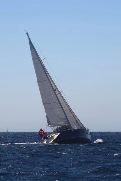 Bodrum Turkey October 2016 Bodrum Sailing Cup Gulet Wooden Sailboats — Stock Photo, Image