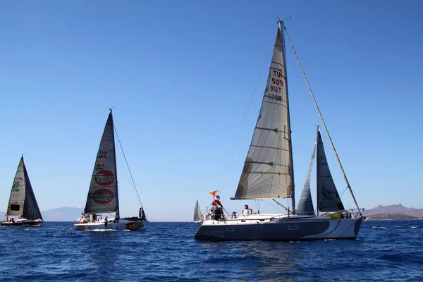 Bodrum Turquie Août 2016 Les Courses Voile Ont Été Réalisées — Photo